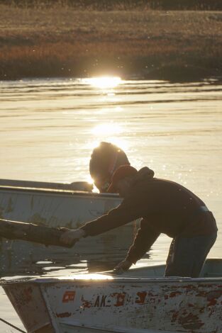 Vida bajo cero. Vida bajo cero: El deshielo: el terreno más elevado