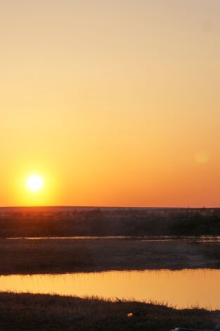 Vida bajo cero. Vida bajo cero: El deshielo: sol de medianoche