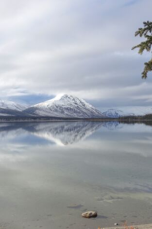 Vida bajo cero. Vida bajo cero: Aullido salvaje