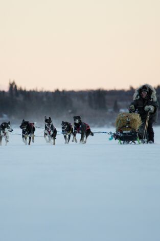 Vida bajo cero. Vida bajo cero: Quema del aceite de medianoche