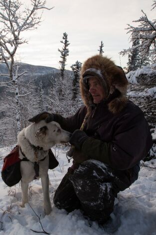 Vida bajo cero. Vida bajo cero: Súper luna ártica