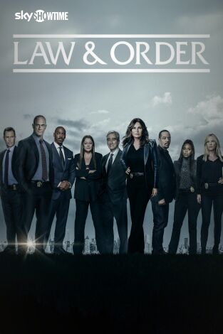 Ley y orden: Unidad de víctimas especiales. T(T24). Ley y orden: Unidad de víctimas especiales (T24)