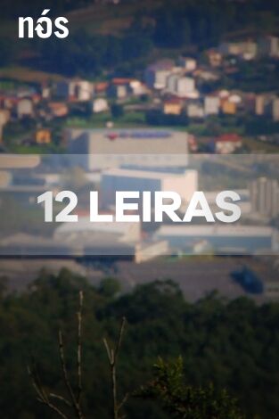 12 leiras