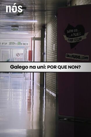 Galego na Universidade: Por que non?