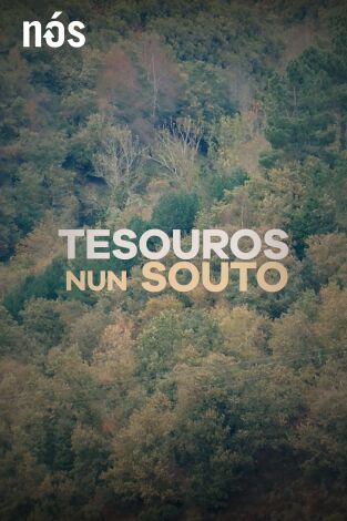 Tesouros nun souto dos Ancares