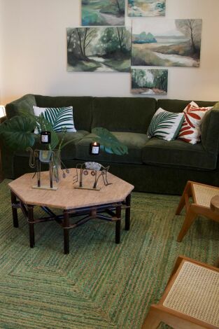 Reforma el vecindario. T(T4). Reforma el... (T4): Tropical y de moda