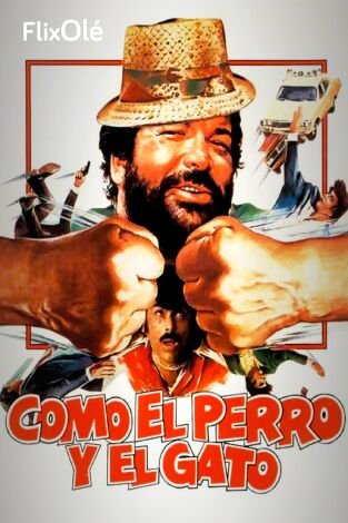 Como el perro y el gato