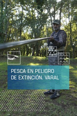 Pesca en peligro de extinción: Varal