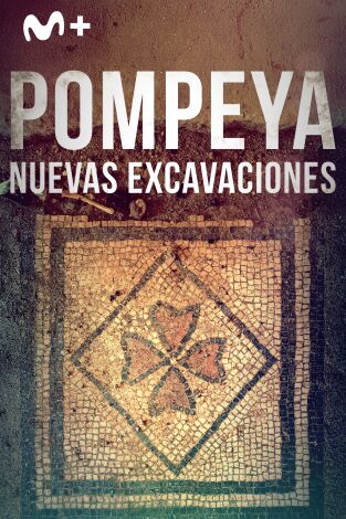 Pompeya: nuevas excavaciones. Pompeya: nuevas...: La casa de los tesoros