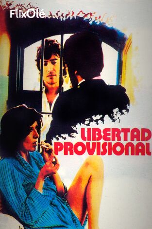 Libertad provisional