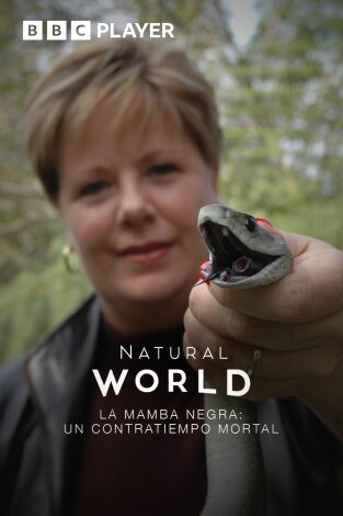 La mamba negra: un problema letal