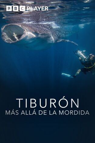 Tiburón: más allá de la mordida