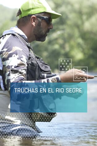 Truchas en el río Segre