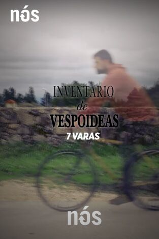 Inventario de vespoideas. T(T1). Inventario de... (T1): Inventario de vespoideas: A vespoidea de Adrián García: 7 varas