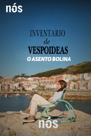 Inventario de vespoideas. T(T1). Inventario de... (T1): Inventario de vespoideas: A vespoidea de Amalia Puga: O asento 'Bolina'