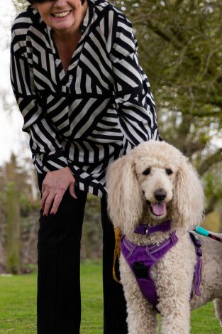 The Dog House. T(T6). The Dog House (T6): Ep.1