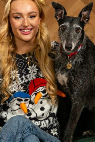 The Dog House. T(T6). The Dog House (T6): Ep.9