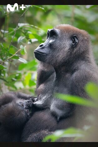 Cómo se hizo Parenthood. Cómo se hizo Parenthood: Ep.3