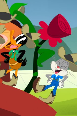 Bugs Bunny: ¡Manos a la obra!. T(T2). Bugs Bunny:... (T2): El desfile Porky-fecto