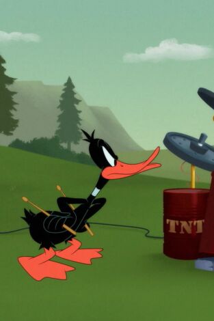 Looney Tunes Cartoons. T(T4). Looney Tunes... (T4): Al ritmo de tambores / Gag del agujero: La madriguera voladora / Un festín aviar