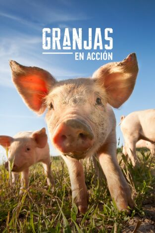 Granjas en acción. T(T1). Granjas en acción (T1): Ep.4