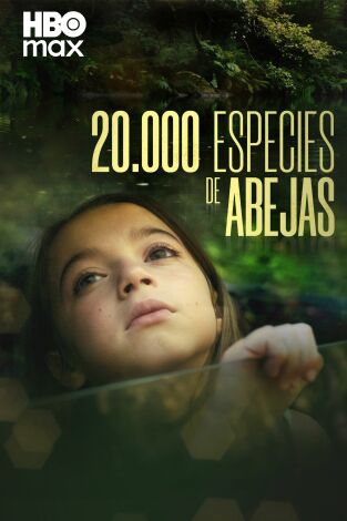 20.000 especies de abejas