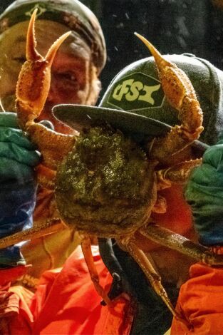 Pesca radical. T(T21). Pesca radical (T21): En apuros