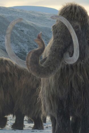 Planeta prehistórico. Planeta prehistórico: El gran deshielo
