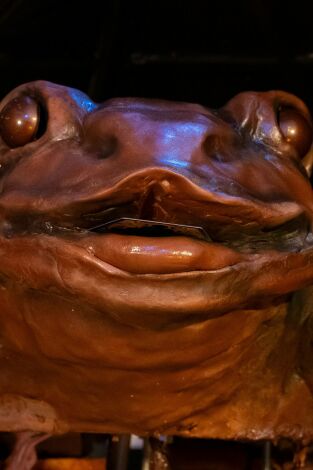 Harry Potter: los magos de la repostería. T(T2). Harry Potter: los... (T2): Hora de travesuras