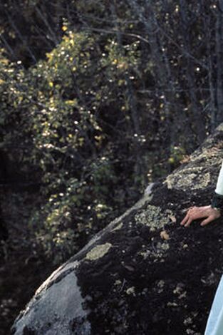 Curro Jiménez. T(T2). Curro Jiménez (T2): Ep.8 