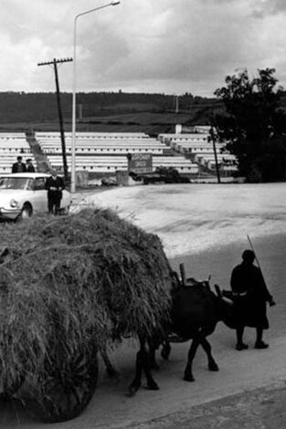 Los años del NO-DO. T(T1). Los años del NO-DO (T1): Ep.3 