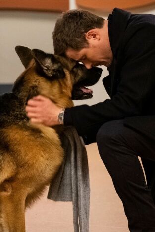 Hudson & Rex. T(T4). Hudson y Rex (T4): Ep.16 Los últimos días de perros