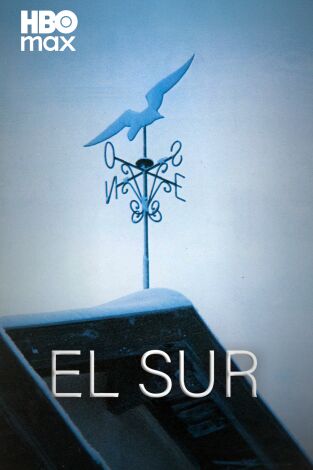 El Sur (1983)