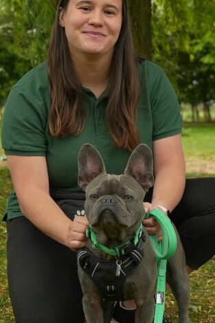 The Dog House. T(T7). The Dog House (T7): Ep.1