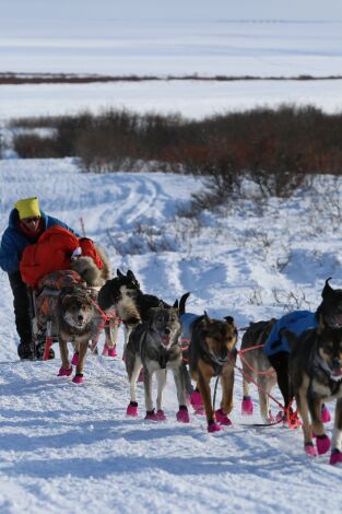 Vida bajo cero. Vida bajo cero: La prueba de fuego
