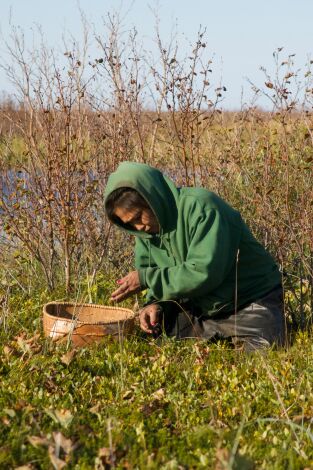 Vida bajo cero. Vida bajo cero: Nadie pelea solo