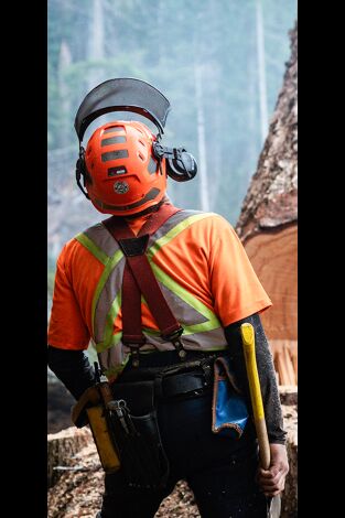 Los últimos leñadores. T(T2). Los últimos... (T2): El rey de la costa