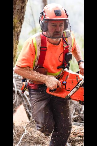 Los últimos leñadores. T(T2). Los últimos... (T2): Socavado