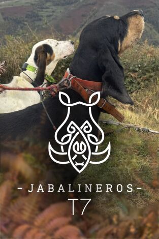 Jabalineros. T(T7). Jabalineros (T7)
