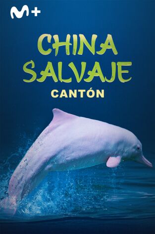China Salvaje: Cantón