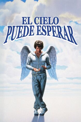 El cielo puede esperar