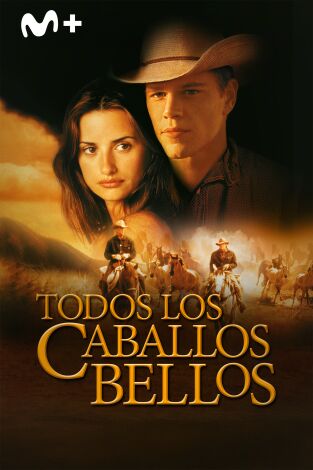 Todos los caballos bellos