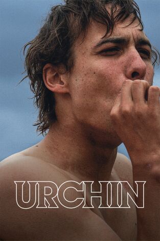 Urchin
