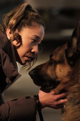 Hudson & Rex. T(T8). Hudson y Rex (T8): Ep.7 Rex Criminal