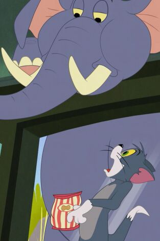 Tom y Jerry en Nueva York. T(T1). Tom y Jerry en... (T1): Paz en el museo / Ven aquí, cometita / Callejeros / La historia del camaleón