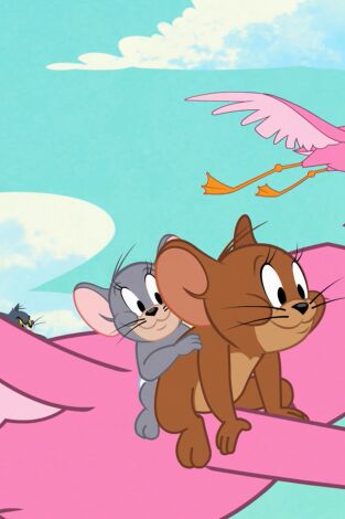 Tom y Jerry en Nueva York. T(T2). Tom y Jerry en... (T2): El planeta de los ratones / Bota mi pelota / La gran manzana / Flamencos locos