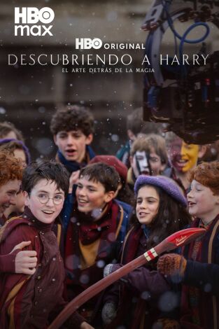 Descubriendo a Harry: el arte detrás de la magia