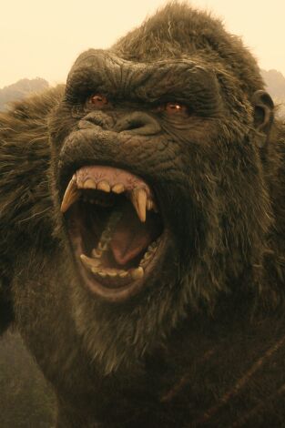 Monarch: el legado de los monstruos. T(T2). Monarch: el... (T2): Ep.10 Donde pertenecemos