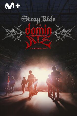 Stray Kids: The dominATE Experience