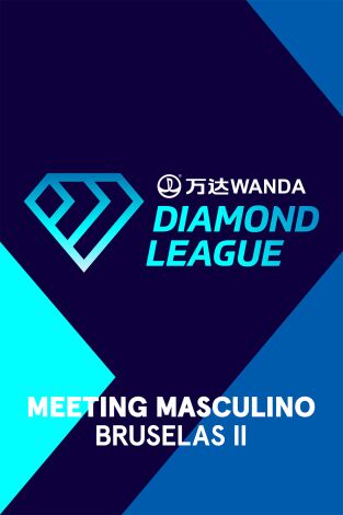 Meeting. Meeting: Bruselas II